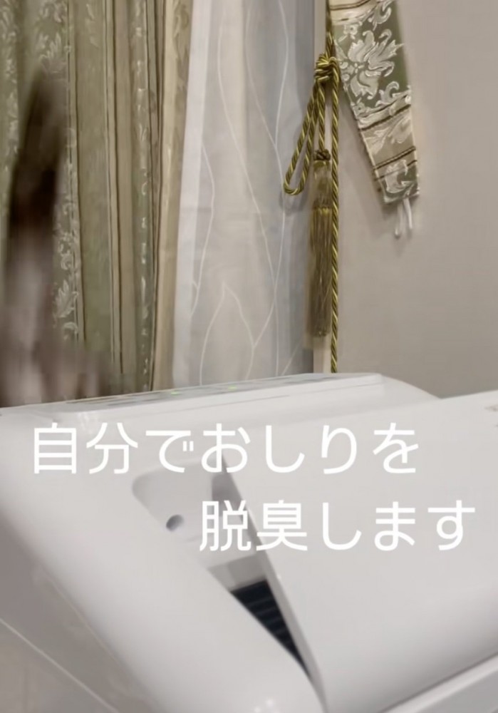 脱臭機の上から退く猫