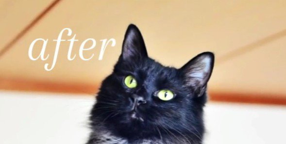 現在のアルバくん