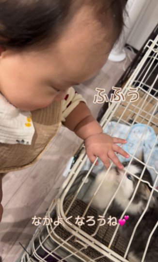 嬉しそうな赤ちゃんと猫