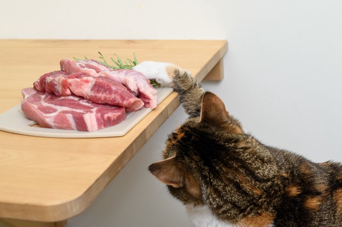 テーブルの上の肉に手を伸ばす猫
