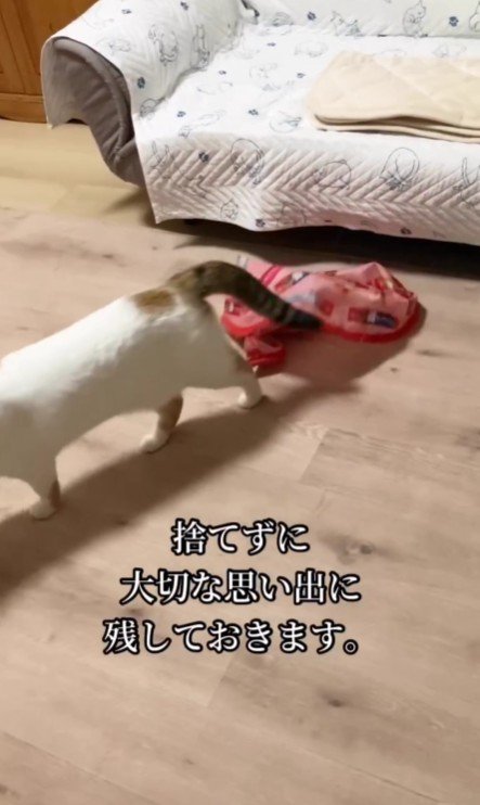 ボロボロのカバーと心福ちゃん