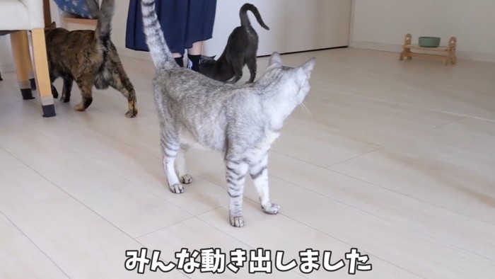 みんな動き出しました