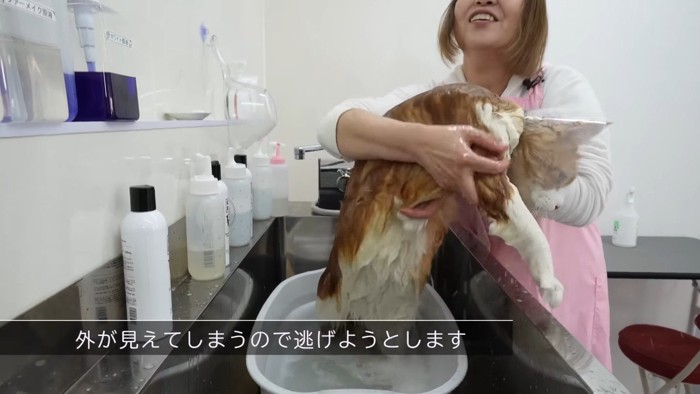 逃げようとします
