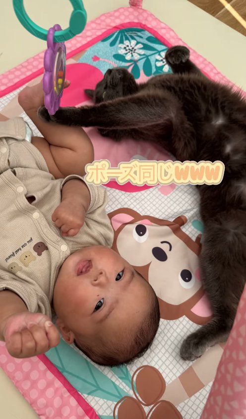 ベビージムの中で寝転がる赤ちゃんと猫