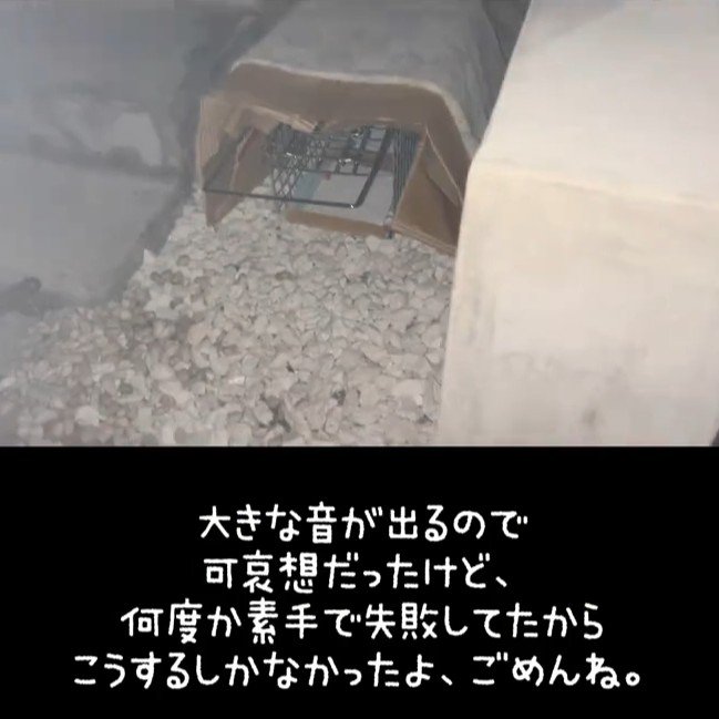 置かれた捕獲器