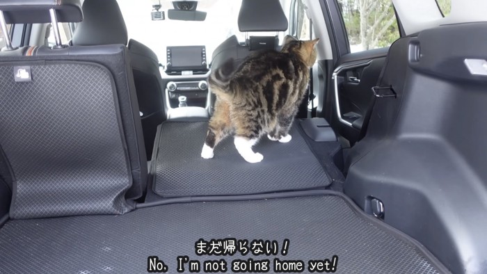 「まだ帰らない！」のテロップ写真