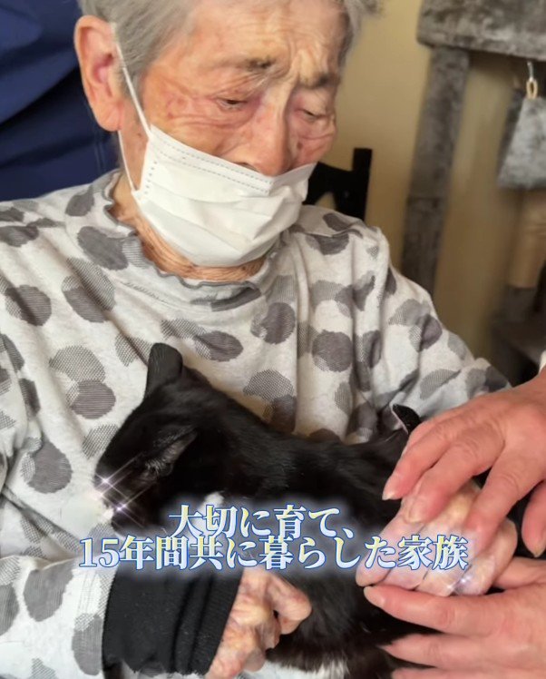 おばあちゃんと猫