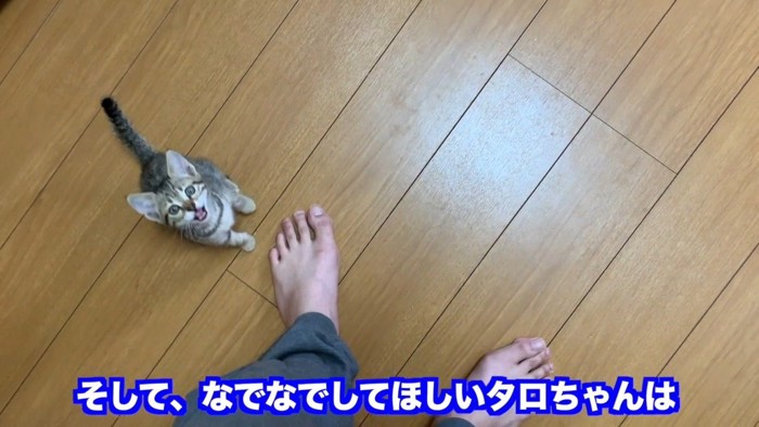 なでなでしてほしい