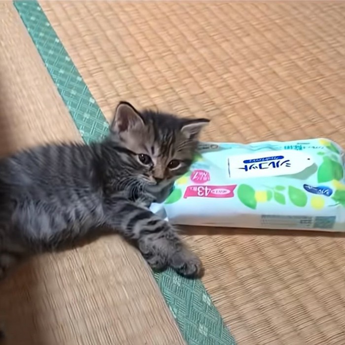 ウェットティッシュを枕にする