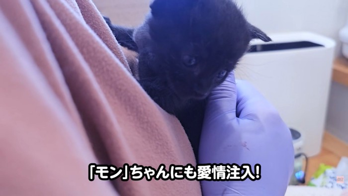 テロップ「モンちゃんにも~」