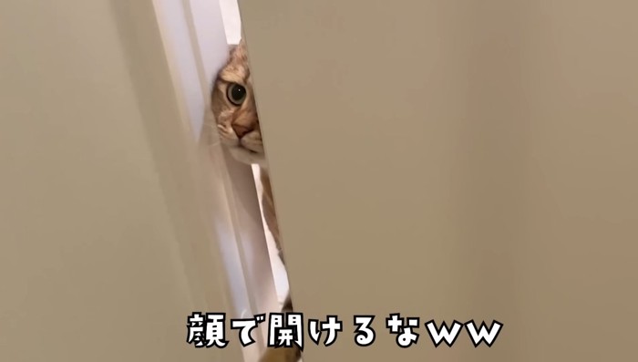 顔で開けるな(少し覗いて)