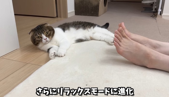 さらにリラックスモード