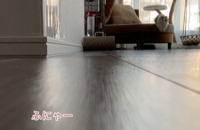キャットタワーから飛び降りる猫