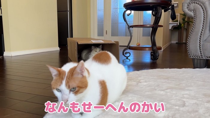 去っていく師匠