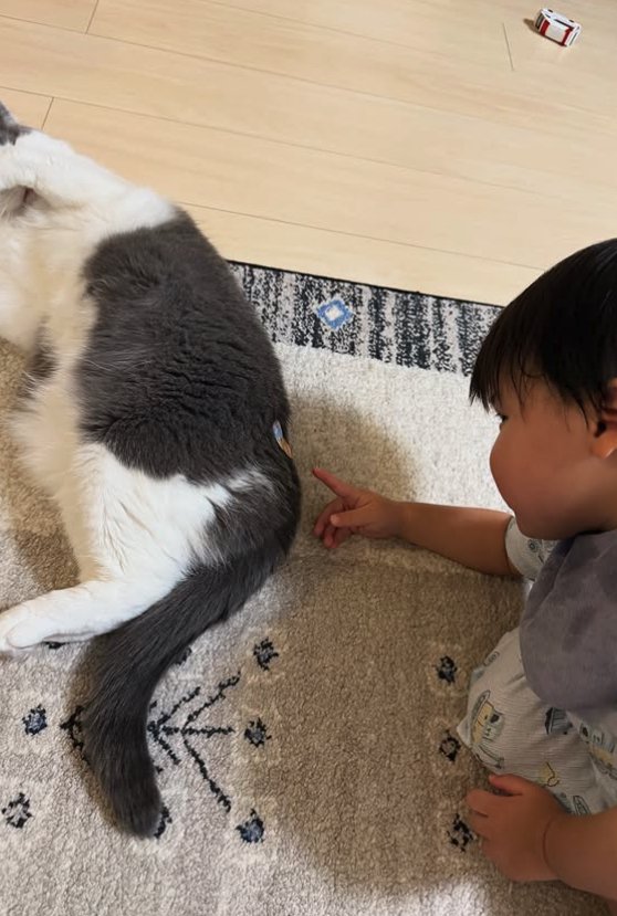 横になる猫にシールを貼る子供