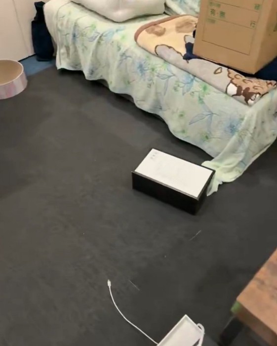 走る箱の中の猫