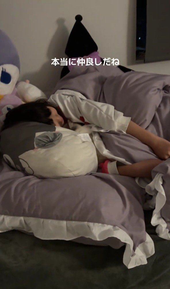 一緒に寝る猫と女の子