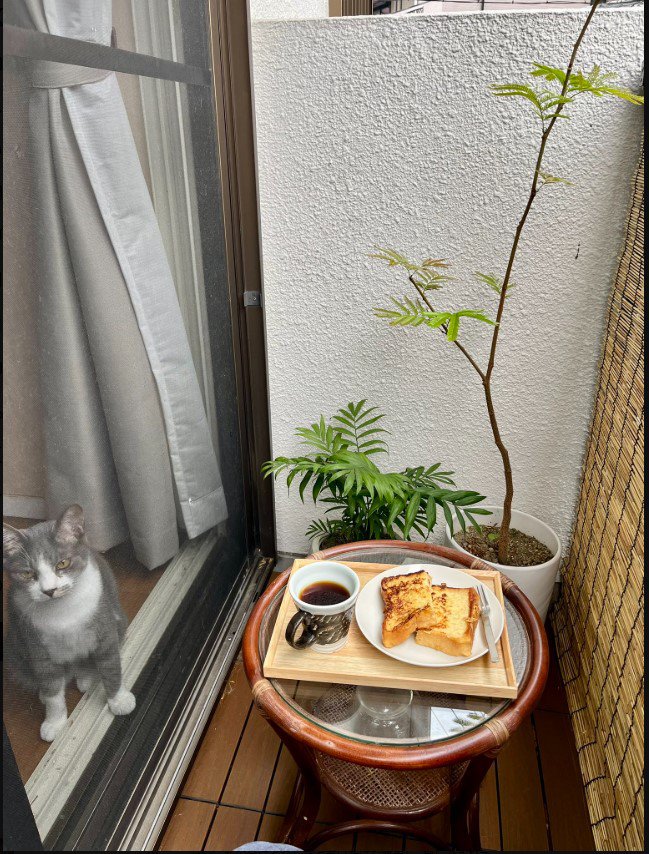 朝食と猫