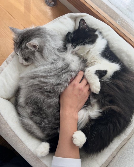 一緒に眠る親子