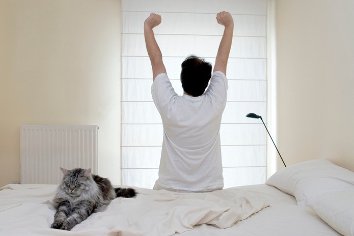 ベッドから起きた男性と猫