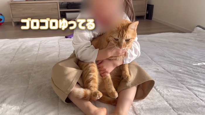 ゴロゴロするとらまる