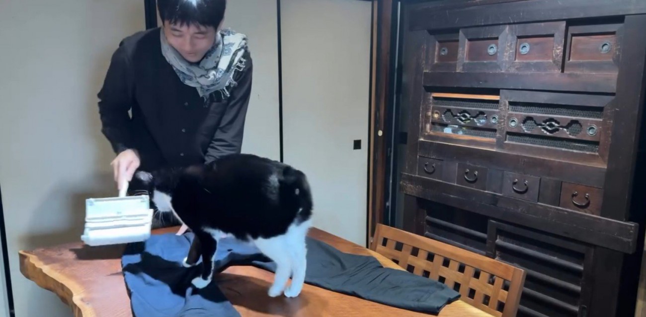 服の毛を取る飼い主と猫