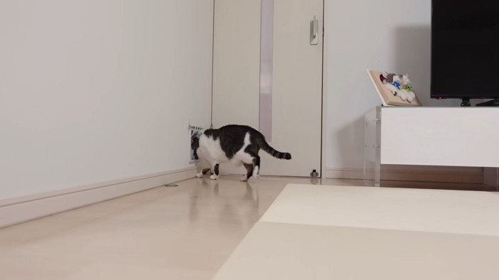 逃げるささみくん