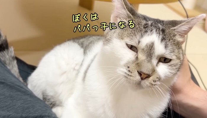 ぼくはパパっ子になる