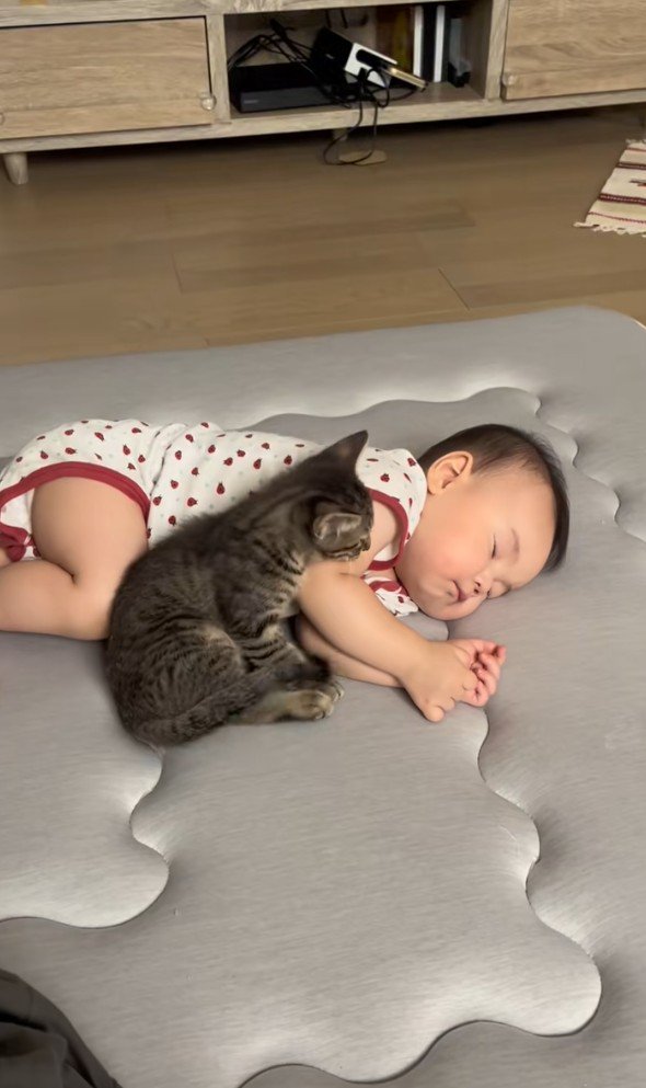 寝ている赤ちゃんと子猫