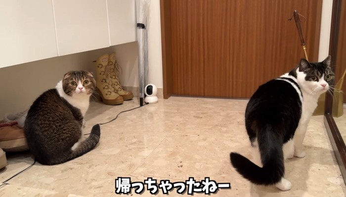 帰っちゃったねー