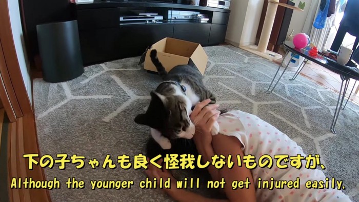 女の子に噛みつく猫