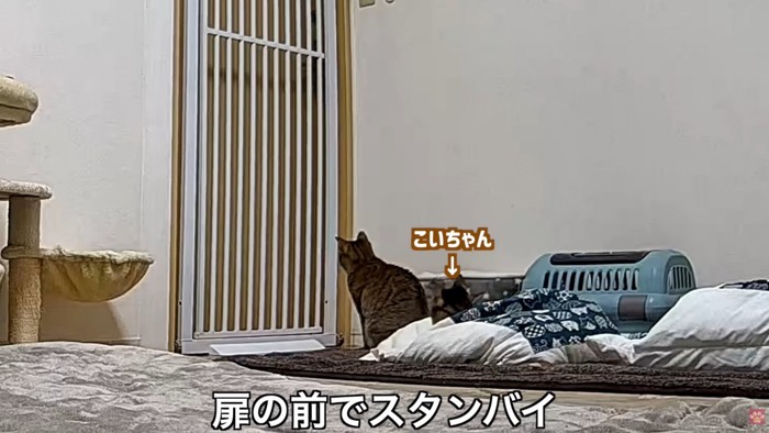 テロップ「扉の前で～」