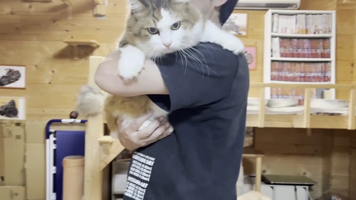 抱っこ