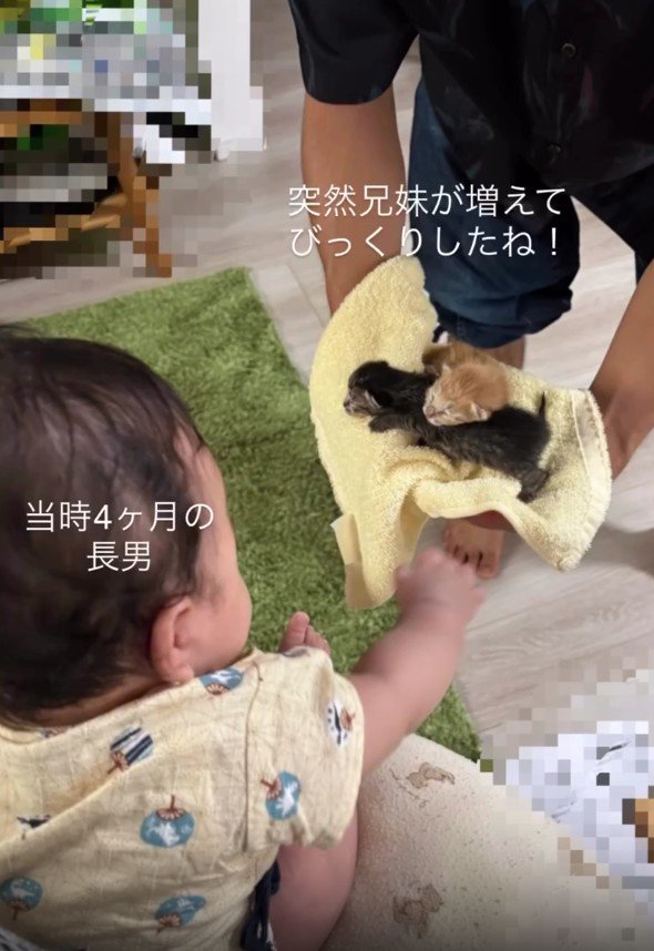 赤ちゃんと2匹の子猫