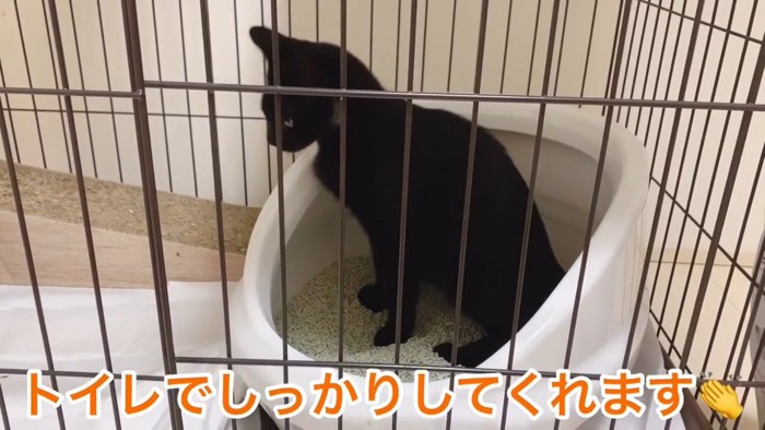 テロップ「トイレでしっかり～」