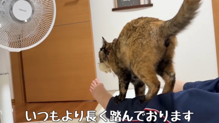 テロップ「いつもより長く踏んでおります」