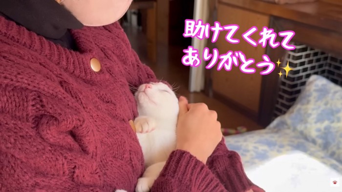 テロップ「助けてくれて～」