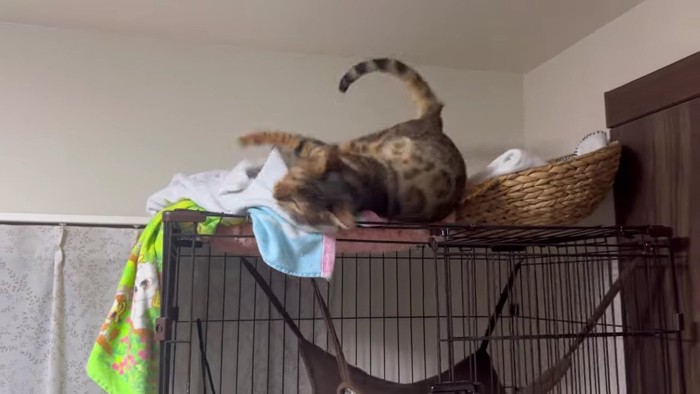 落下寸前のテト