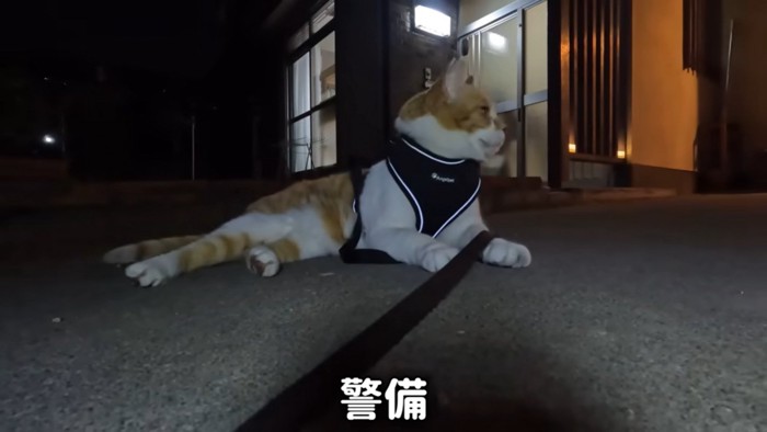 警備をするチャチャくん