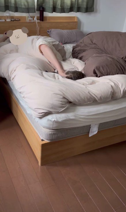 ベッドで寝ている女性と赤ちゃんと猫