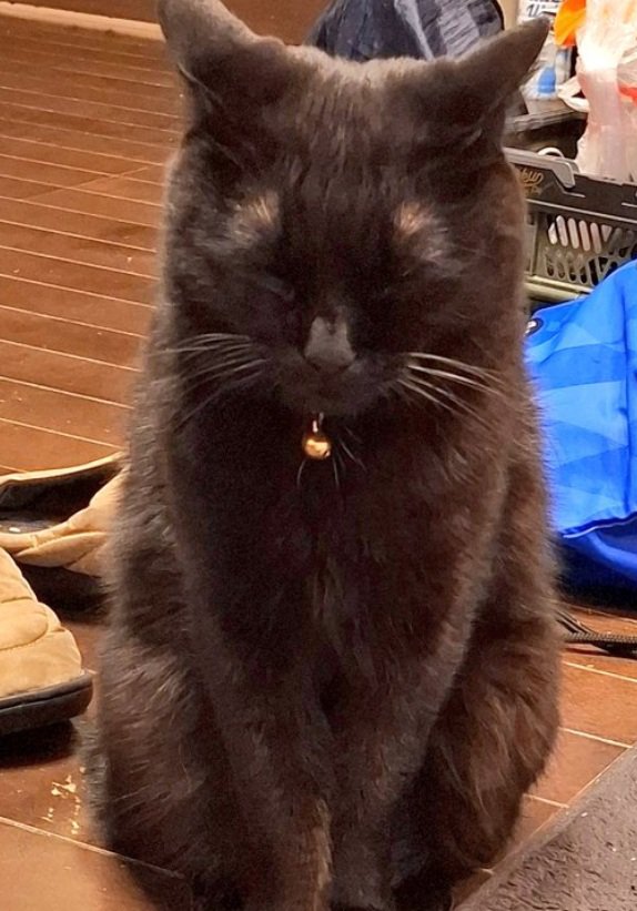 座って眠るジェイクくん