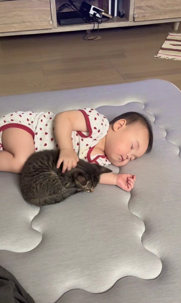 寝ている赤ちゃんと子猫