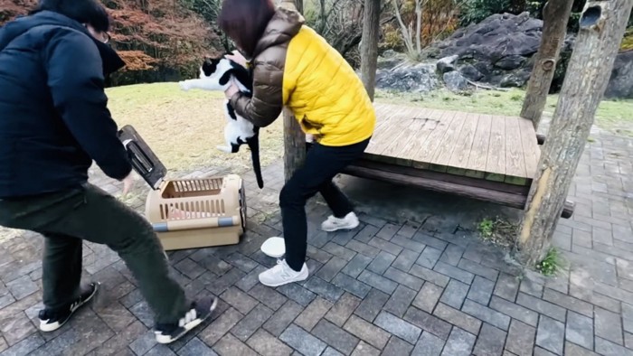 山奥で猫を保護するねこだらけさんとなつさん