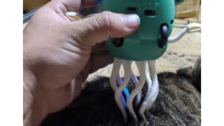 イカのおもちゃ