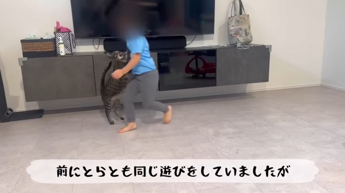 走り回りながら猫と遊ぶ女の子