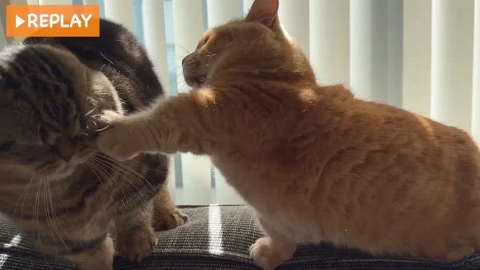 パンチするプリンくん