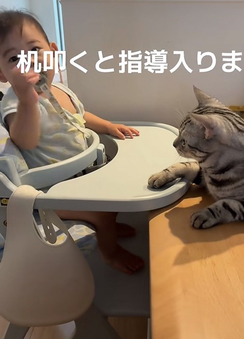 赤ちゃんと猫の写真4