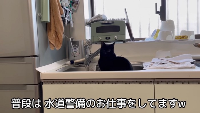 シンクにいるすみおくん