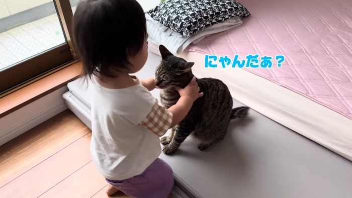 にゃんだぁ？
