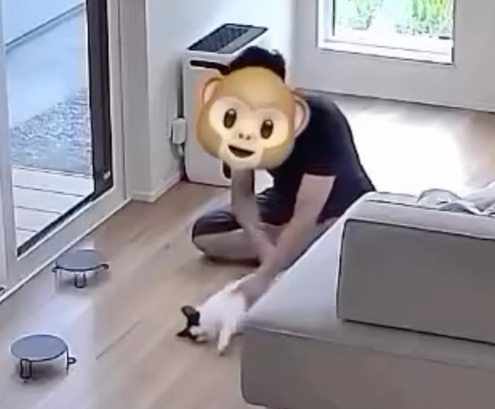猫に触れる男性